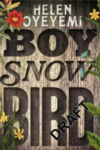 Kniha Boy, Snow, Bird Helen Oyeyemi