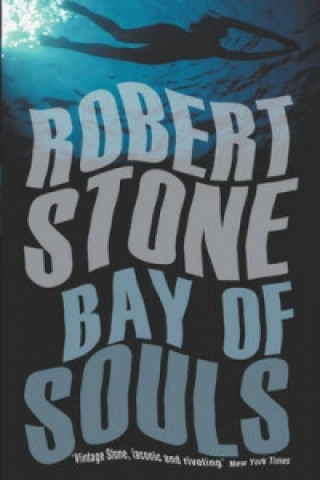 Kniha Bay of Souls Robert Stone