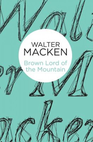 Βιβλίο Brown Lord of the Mountain Walter Macken