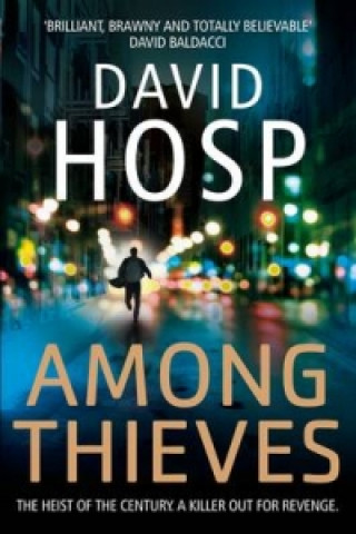 Buch Among Thieves David Hosp