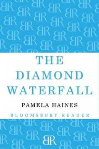 Könyv Diamond Waterfall Pamela Haines