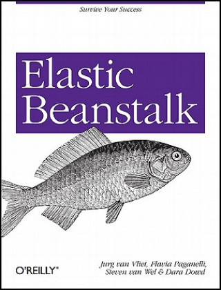 Book Elastic Beanstalk Jurg van Vliet