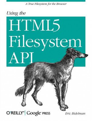 Buch Using the HTML5 Filesystem API Eric Bidelman