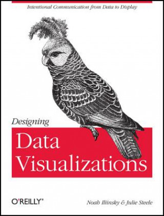 Kniha Designing Data Visualizations Julie Steele