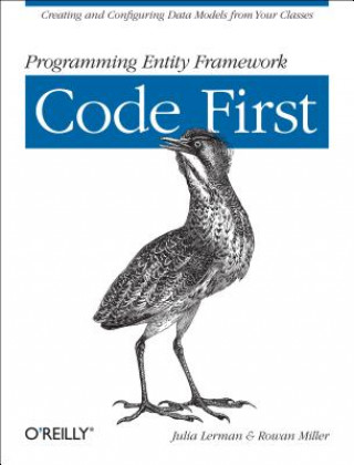 Kniha Programming Entity Framework - Code First Julia Lerman