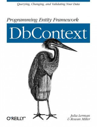 Kniha Programming Entity Framework Julia Lerman