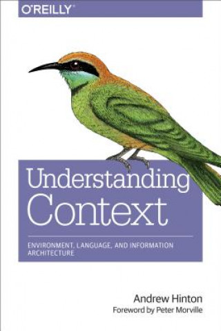 Kniha Understanding Context Andrew Hinton