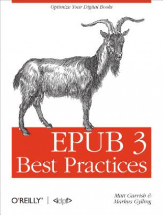 Kniha EPUB 3 Best Practices Matt Garrish
