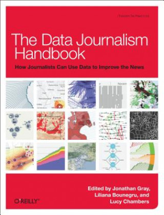 Kniha Data Journalism Handbook Jonathan Gray