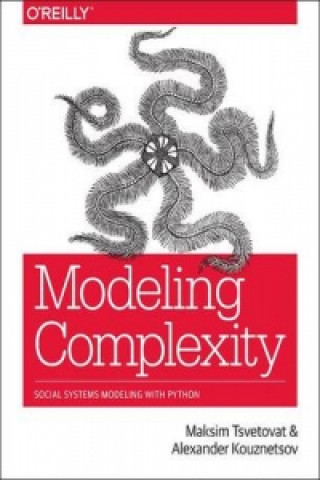 Könyv Modeling Complexity Alexander Kouznetsov