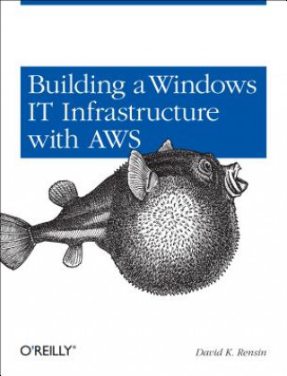 Buch Building a Windows IT Infrastructure in the Cloud David K. Rensin