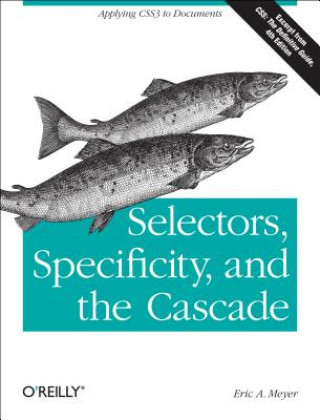 Boek Selectors, Specificity and the Cascade Eric A. Meyer