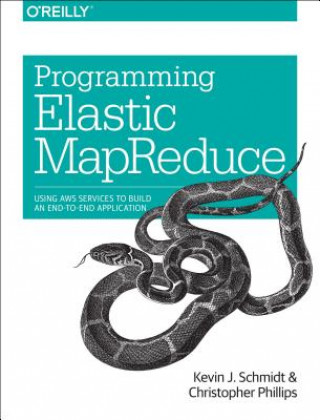 Knjiga Programming Elastic MapReduce Christopher Phillips