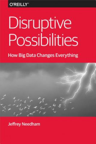 Kniha Disruptive Possibilities Jeffrey Needham