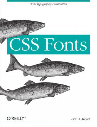 Kniha CSS Fonts Eric Meyer