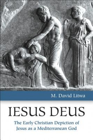 Kniha Iesus Deus M. David Litwa