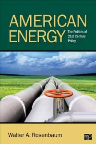 Könyv American Energy Walter A. Rosenbaum