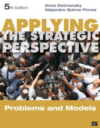 Buch Applying the Strategic Perspective Anna Getmansky