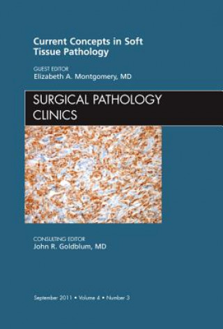 Könyv Current Concepts in Soft Tissue Pathology, An Issue of Surgical Pathology Clinics Elizabeth A. Montgomery