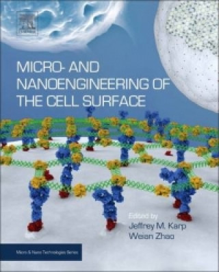 Carte Micro- and Nanoengineering of the Cell Surface Jeffrey M. Karp