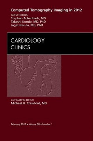 Book Computed Tomography Imaging in 2012, An Issue of Cardiology Clinics Jagat Narula