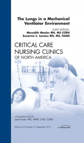 Kniha Lungs in a Mechanical Ventilator Environment, An Issue of Critical Care Nursing Clinics Ellstrom Kathi