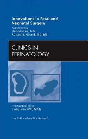 Kniha Innovations in Fetal and Neonatal Surgery, An Issue of Clinics in Perinatology Hanmin Lee