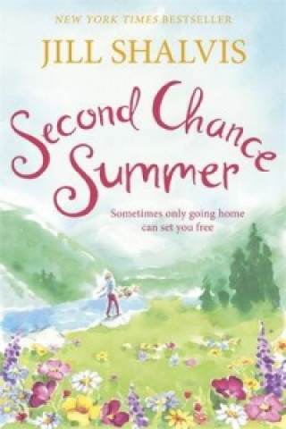 Kniha Second Chance Summer Jill Shalvis