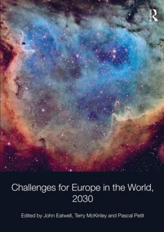 Kniha Challenges for Europe in the World, 2030 John Eatwell