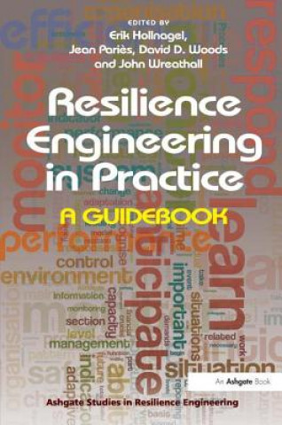 Carte Resilience Engineering in Practice Jean Paries