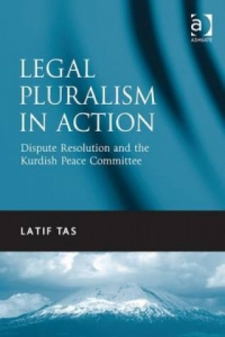 Book Legal Pluralism in Action Latif Tas