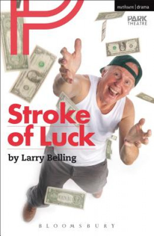 Kniha Stroke of Luck Larry Belling