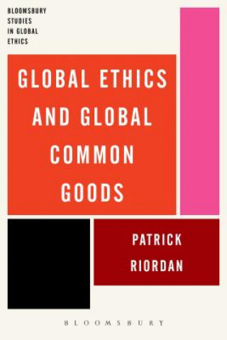 Book Global Ethics and Global Common Goods Patrick Riordan