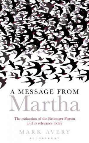 Kniha Message from Martha Mark Avery