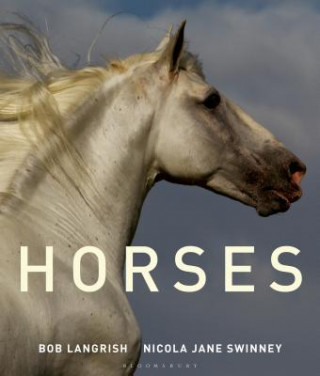 Книга Horses Janet Swinney