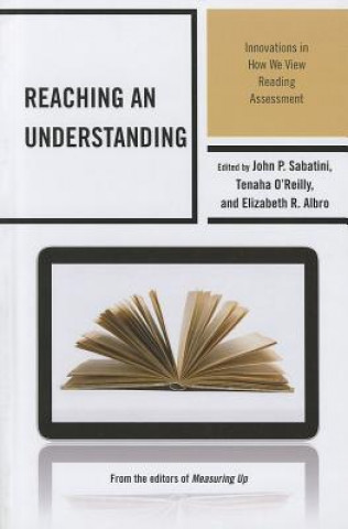 Boek Reaching an Understanding John P. Sabatini