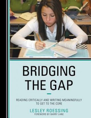 Book Bridging the Gap Lesley Roessing