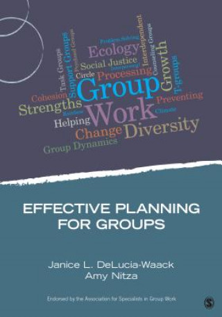 Książka Effective Planning for Groups Janice L. DeLucia-Waack