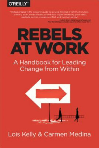 Kniha Rebels at Work Lois Kelly