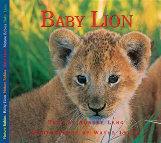 Carte Baby Lion Aubrey Lang