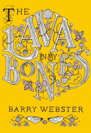 Könyv Lava In My Bones Barry Webster