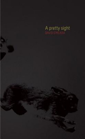 Book Pretty Sight David O'Meara