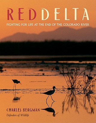Kniha Red Delta Charles Bergman