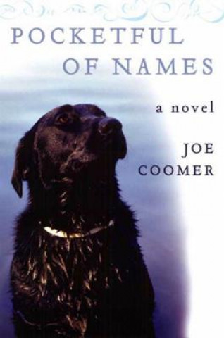 Książka Pocketful of Names Joe Coomer