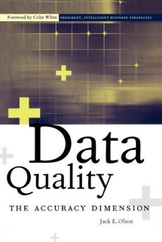 Kniha Data Quality Jack E. Olson