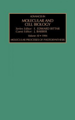 Könyv Molecular Processes of Photosynthesis J. Barber
