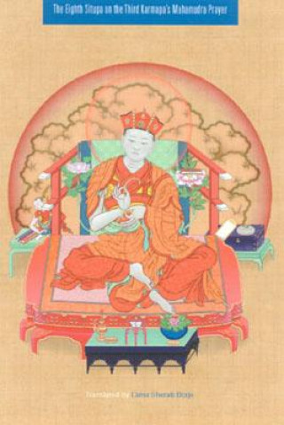 Könyv Eighth Situpa on the Third Karmapa's Mahamudra Prayer Sherab Dorje