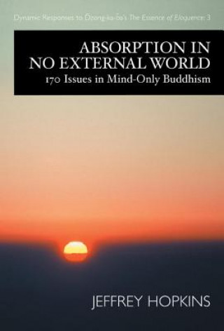 Kniha Absorption in No External World Hopkins