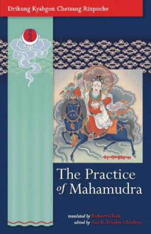 Libro Practice Of Mahamudra Drikung Kyabgon Chetsang Rinpoche