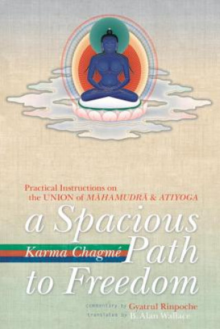 Kniha Spacious Path to Freedom Karma Chagme